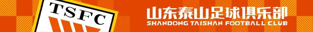 2025首届山东省“泰山小将”数选未来足球精英赛荣耀收官